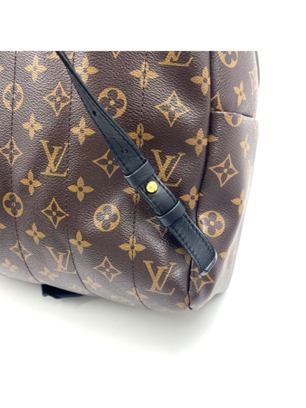 Louis Vuitton Palm Springs Backpack MM Monogram Leather Brown Gold - Picture 13 of 15